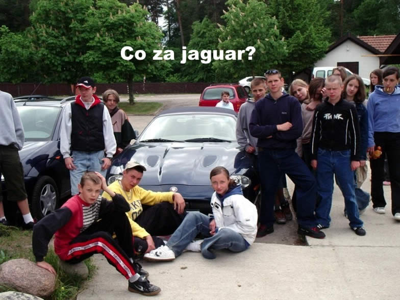 01 CO ZA JAGUAR