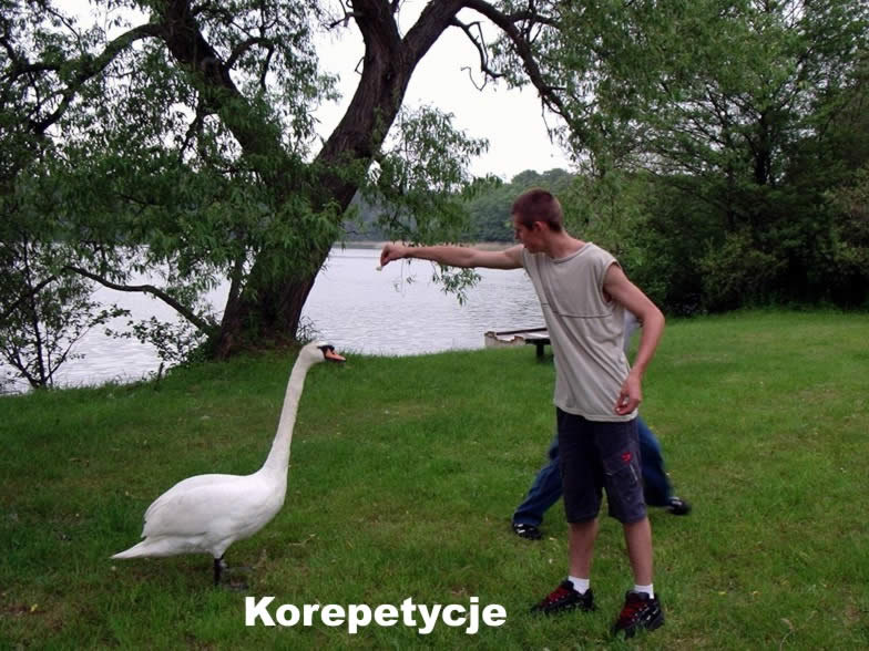 02 KOREPETYCJE