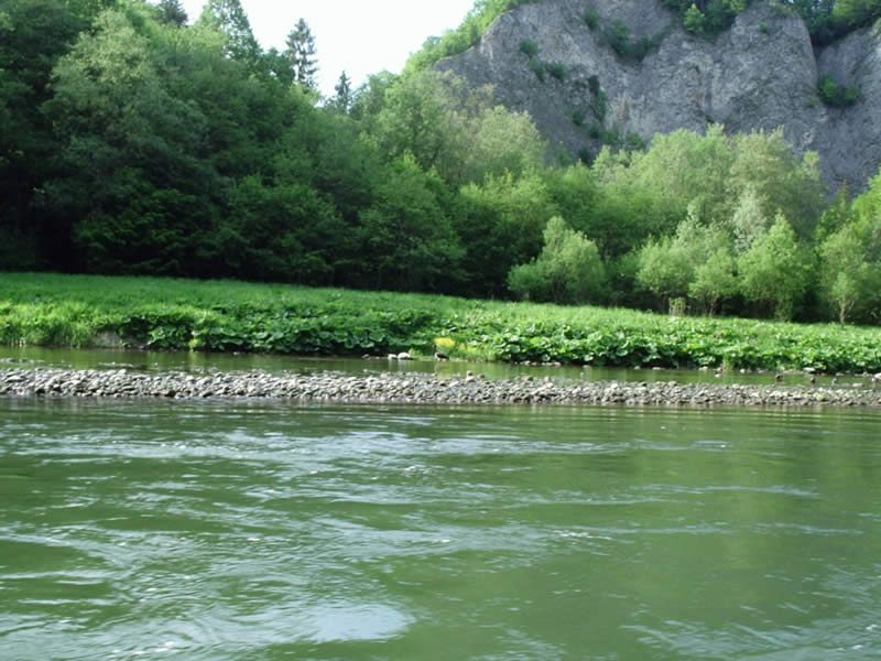 Dunajec 2004 (25)