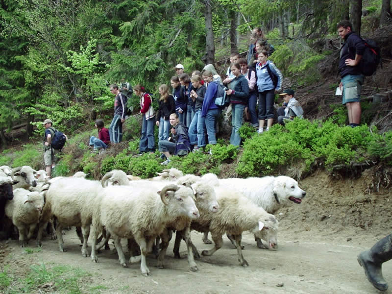 Dunajec 2004 (30)