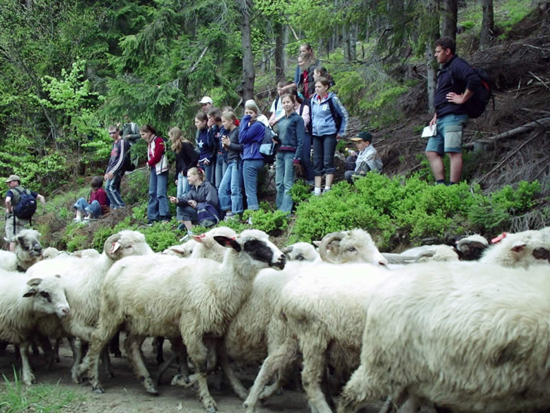 Dunajec 2004 (31)