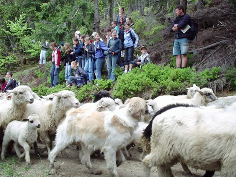 Dunajec 2004 (32)