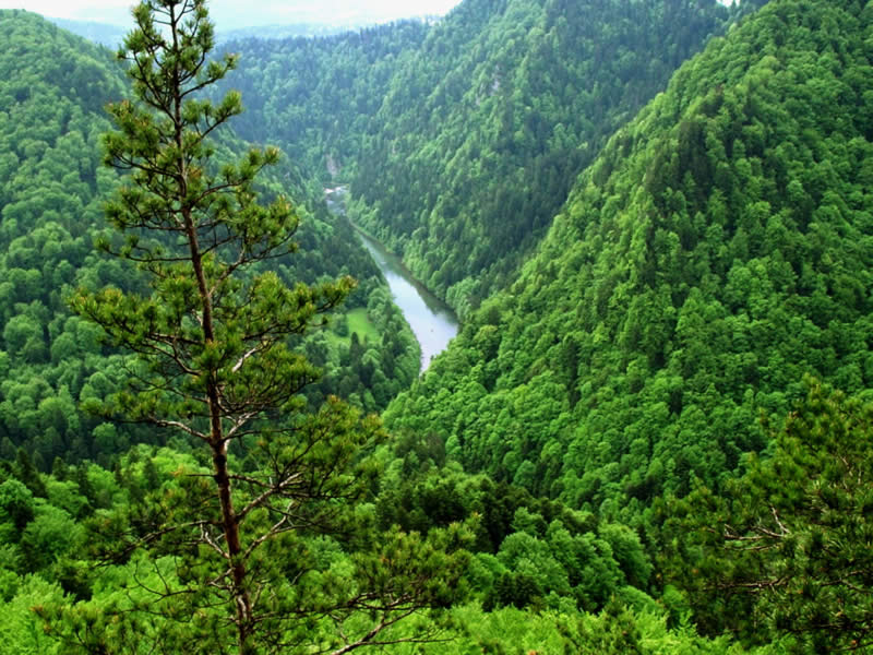 Pieniny 2004 (06)