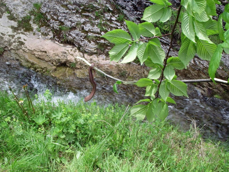 Pieniny 2004 (12)