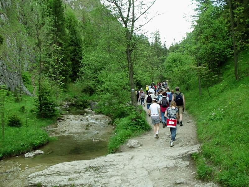 Pieniny 2004 (16)