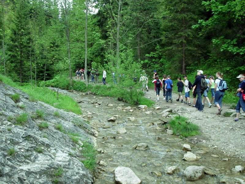 Pieniny 2004 (17)