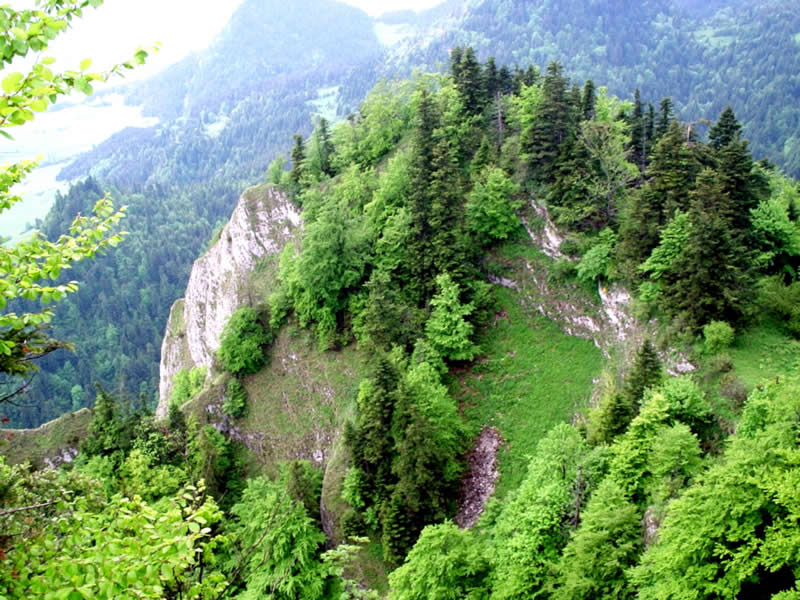 Pieniny 2004 (39)