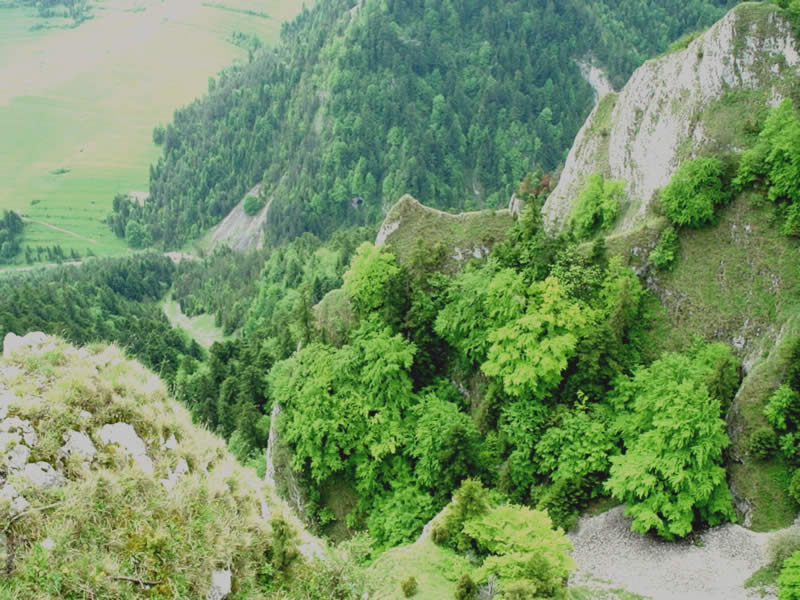 Pieniny 2004 (41)