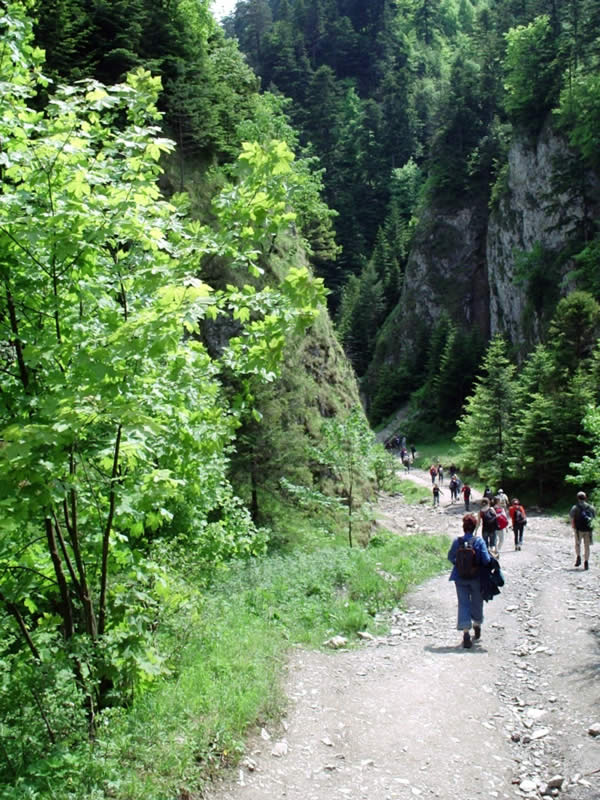 Pieniny 2004 (44)